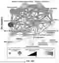 Fig. 160 - METHODS AND SYSTEMS FOR MACHINE LEARNING ANALYSIS OF SINGLE NUCLEOTIDE POLYMORPHISMS IN LUPUS