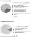 Fig. 175 - METHODS AND SYSTEMS FOR MACHINE LEARNING ANALYSIS OF SINGLE NUCLEOTIDE POLYMORPHISMS IN LUPUS