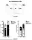 Fig. 187 - METHODS AND SYSTEMS FOR MACHINE LEARNING ANALYSIS OF SINGLE NUCLEOTIDE POLYMORPHISMS IN LUPUS