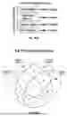 Fig. 188 - METHODS AND SYSTEMS FOR MACHINE LEARNING ANALYSIS OF SINGLE NUCLEOTIDE POLYMORPHISMS IN LUPUS