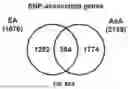 Fig. 190 - METHODS AND SYSTEMS FOR MACHINE LEARNING ANALYSIS OF SINGLE NUCLEOTIDE POLYMORPHISMS IN LUPUS