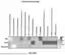 Fig. 193 - METHODS AND SYSTEMS FOR MACHINE LEARNING ANALYSIS OF SINGLE NUCLEOTIDE POLYMORPHISMS IN LUPUS