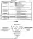 Fig. 198 - METHODS AND SYSTEMS FOR MACHINE LEARNING ANALYSIS OF SINGLE NUCLEOTIDE POLYMORPHISMS IN LUPUS
