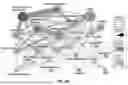 Fig. 199 - METHODS AND SYSTEMS FOR MACHINE LEARNING ANALYSIS OF SINGLE NUCLEOTIDE POLYMORPHISMS IN LUPUS