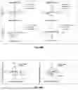 Fig. 204 - METHODS AND SYSTEMS FOR MACHINE LEARNING ANALYSIS OF SINGLE NUCLEOTIDE POLYMORPHISMS IN LUPUS