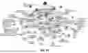 Fig. 219 - METHODS AND SYSTEMS FOR MACHINE LEARNING ANALYSIS OF SINGLE NUCLEOTIDE POLYMORPHISMS IN LUPUS