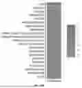 Fig. 228 - METHODS AND SYSTEMS FOR MACHINE LEARNING ANALYSIS OF SINGLE NUCLEOTIDE POLYMORPHISMS IN LUPUS