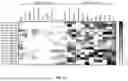 Fig. 29 - METHODS AND SYSTEMS FOR MACHINE LEARNING ANALYSIS OF SINGLE NUCLEOTIDE POLYMORPHISMS IN LUPUS