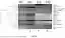 Fig. 40 - METHODS AND SYSTEMS FOR MACHINE LEARNING ANALYSIS OF SINGLE NUCLEOTIDE POLYMORPHISMS IN LUPUS
