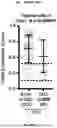 Fig. 59 - METHODS AND SYSTEMS FOR MACHINE LEARNING ANALYSIS OF SINGLE NUCLEOTIDE POLYMORPHISMS IN LUPUS