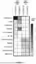 Fig. 73 - METHODS AND SYSTEMS FOR MACHINE LEARNING ANALYSIS OF SINGLE NUCLEOTIDE POLYMORPHISMS IN LUPUS