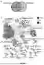 Fig. 90 - METHODS AND SYSTEMS FOR MACHINE LEARNING ANALYSIS OF SINGLE NUCLEOTIDE POLYMORPHISMS IN LUPUS