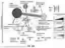 Fig. 98 - METHODS AND SYSTEMS FOR MACHINE LEARNING ANALYSIS OF SINGLE NUCLEOTIDE POLYMORPHISMS IN LUPUS