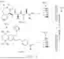 Fig. 04 - METHOD AND DEVICE FOR ANALYZING INTERACTIONS BETWEEN DRUGS