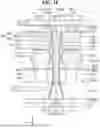 Fig. 19 - SEMICONDUCTOR DEVICES