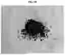 Fig. 05 - METHOD OF FABRICATING DRY ELECTRODE