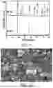 Fig. 07 - ANODE ACTIVE SUBSTANCE, PREPARATION METHOD THEREFOR, AND LITHIUM SECONDARY BATTERY PRODUCED THEREFROM