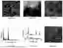 Fig. 04 - ELECTRODES, LITHIUM-ION BATTERIES, AND METHODS OF MAKING AND USING SAME