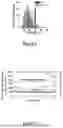 Fig. 07 - ELECTRODES, LITHIUM-ION BATTERIES, AND METHODS OF MAKING AND USING SAME