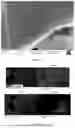 Fig. 03 - NEGATIVE ACTIVE MATERIAL, ELECTROCHEMICAL DEVICE, AND ELECTRONIC DEVICE