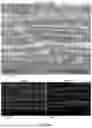Fig. 09 - ALUMINUM-BASED ANODE FOR LITHIUM-ION BATTERIES