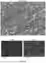 Fig. 11 - ALUMINUM-BASED ANODE FOR LITHIUM-ION BATTERIES