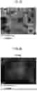 Fig. 05 - ACTIVE MATERIAL COMPOSITE PARTICLE, SECONDARY BATTERY, AND PRODUCTION METHOD FOR ACTIVE MATERIAL COMPOSITE PARTICLE