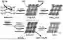 Fig. 01 - SYNTHESIS OF A METASTABLE VANADIUM PENTOXIDE AS A CATHODE MATERIAL FOR ION BATTERIES