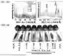 Fig. 07 - SYNTHESIS OF A METASTABLE VANADIUM PENTOXIDE AS A CATHODE MATERIAL FOR ION BATTERIES
