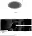 Fig. 02 - NEGATIVE ELECTRODE ACTIVE MATERIAL, ELECTROCHEMICAL APPARATUS, AND ELECTRONIC APPARATUS