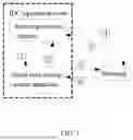 Fig. 02 - DISTRIBUTED MANAGEMENT SYSTEM AND MANAGEMENT METHOD FOR SMART CARD MANAGEMENT APPARATUSES