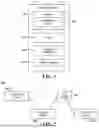 Fig. 02 - CELLULAR SIGNAL MESH NETWORK
