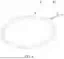 Fig. 09 - TERAHERTZ HEALTHY ROSARY STRUCTURE