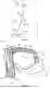 Fig. 06 - Goggle systems and methods