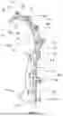 Fig. 09 - A knee movement assistive device