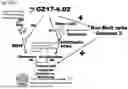 Fig. 586 - HUMAN THERAPEUTIC AGENTS