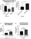 Fig. 07 - CANNABIDIOL (CBD) AND TERPENE FORMULATION THAT INCREASES RESTORATIVE SLEEP IN HUMANS