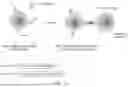 Fig. 02 - CHIMERIC TIM RECEPTORS AND USES THEREOF