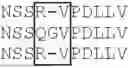 Fig. 37 - CORONAVIRUS VACCINES