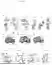 Fig. 07 - ANTIBODY AGAINST CORONAVIRUS