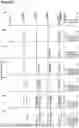 Fig. 05 - Methods of Production of Double Unsaturated Pheromones Using Metabolic Pathways