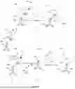 Fig. 33 - PHOTOREACTIVE AND CLEAVABLE PROBES FOR TAGGING BIOMOLECULES