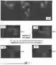 Fig. 08 - FLARING OPTIMIZATION RESPONSIVE TO WIND CONDITIONS