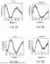 Fig. 09 - RAPID DETECTION AND IDENTIFICATION OF BACTERIA DIRECTLY FROM WHOLE BLOOD WITH LIGHT SCATTERING SPECTROSCOPY BASED BIOSENSOR