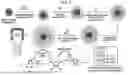 Fig. 02 - METAL NANOPARTICLE-MAGNETIC PARTICLE COMPLEX, METHOD OF PREPARING SAME, AND USE THEREOF