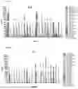 Fig. 09 - METHOD OF DETERMINING TOXICITY OF AN IMMUNOMODULATORY DRUG FOR USE IN HUMANS