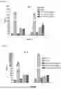 Fig. 22 - METHOD OF DETERMINING TOXICITY OF AN IMMUNOMODULATORY DRUG FOR USE IN HUMANS