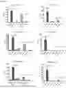 Fig. 35 - METHOD OF DETERMINING TOXICITY OF AN IMMUNOMODULATORY DRUG FOR USE IN HUMANS