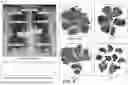 Fig. 09 - SYSTEMS, METHODS, AND APPARATUSES FOR LEARNING FOUNDATION MODELS FROM ANATOMY IN MEDICAL IMAGING FOR USE WITH MEDICAL IMAGE CLASSIFICATION AND SEGMENTATION