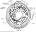Fig. 28 - MOTOR DRIVE UNIT